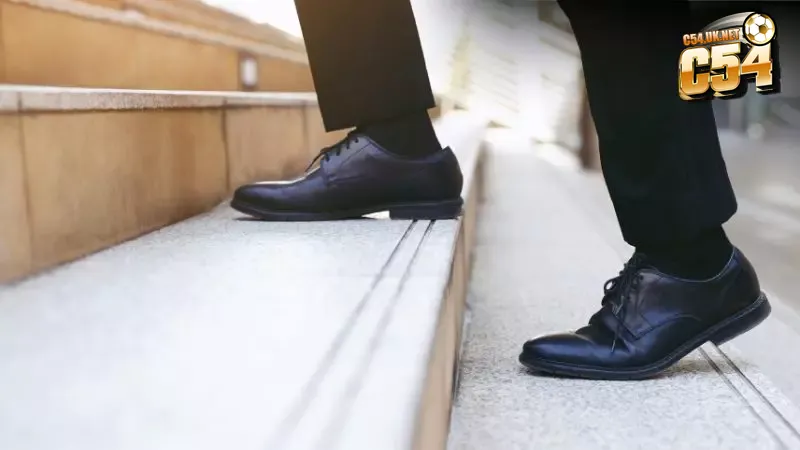 Gia nhập hệ thống đại lý C54 dễ dàng chỉ trong vài thao tác