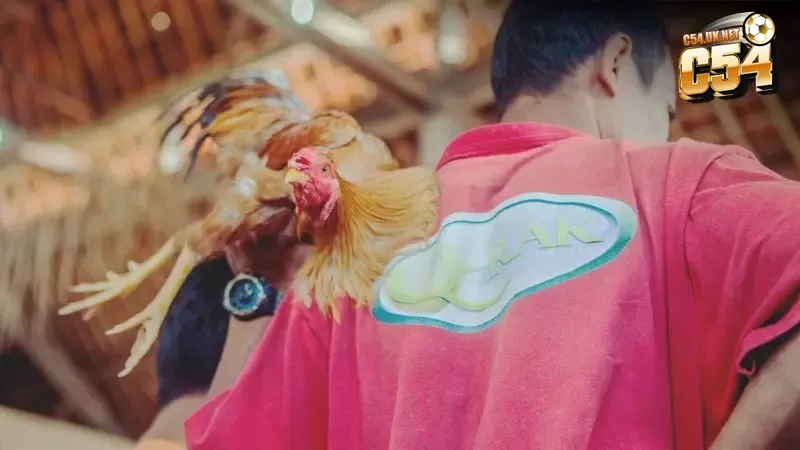 Không khí sôi động, kịch tính tại Thomo khiến hàng triệu người mê mẩn mỗi ngày