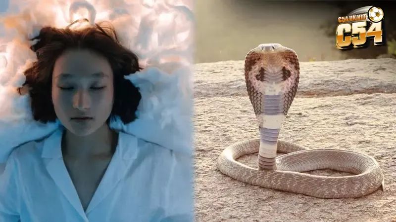 Nằm mơ thấy rắn đánh con gì? Giải mã những con số may mắn Mỗi giấc mơ thấy rắn đều ẩn chứa một con số riêng mang đến nhiều cơ hội đổi vận