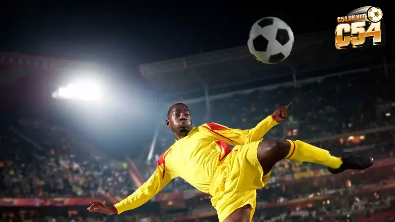 Tâm lý ổn định và kỷ luật là yếu tố then chốt để duy trì phong độ cá độ ổn định